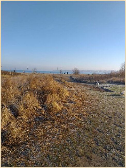 IMG-20190120-WA0001.jpg