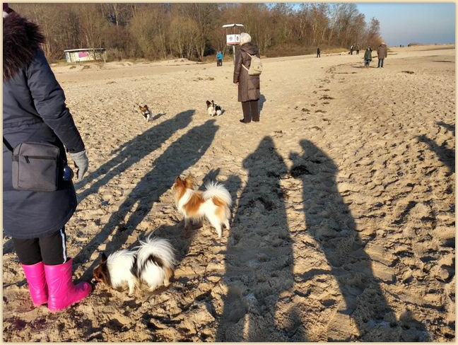 IMG_20190120_120448924_HDR.jpg