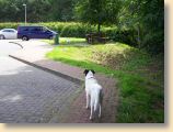 Harz19_210609_005.jpg