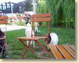 Harz19_210609_006.jpg