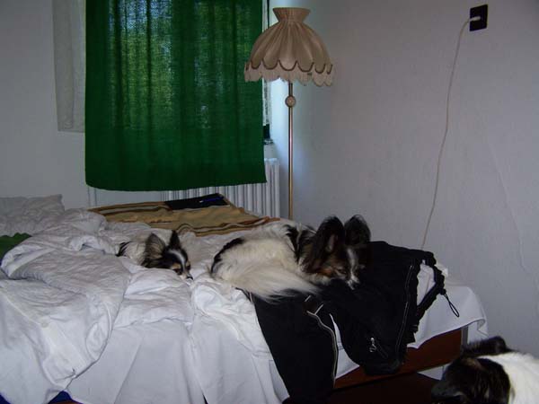 Harz19_210609_029.jpg