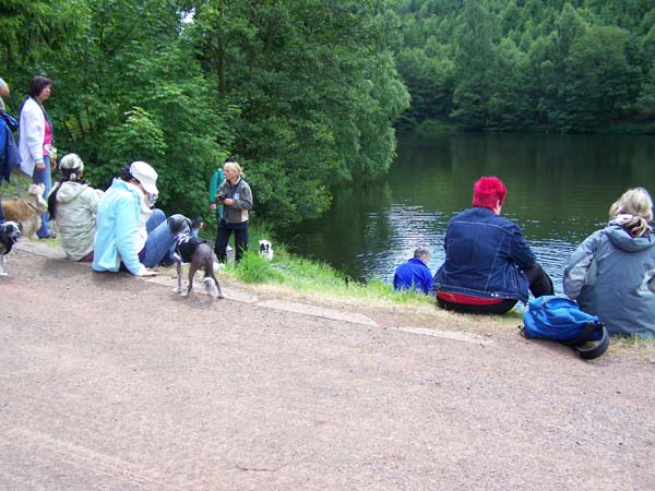 Harz19_210609_035.jpg