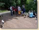 Harz19_210609_038.jpg