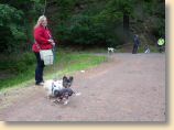 Harz19_210609_047.jpg