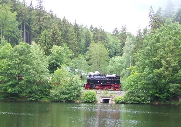Harz19_210609_050.jpg