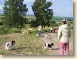 Harz19_210609_067.jpg