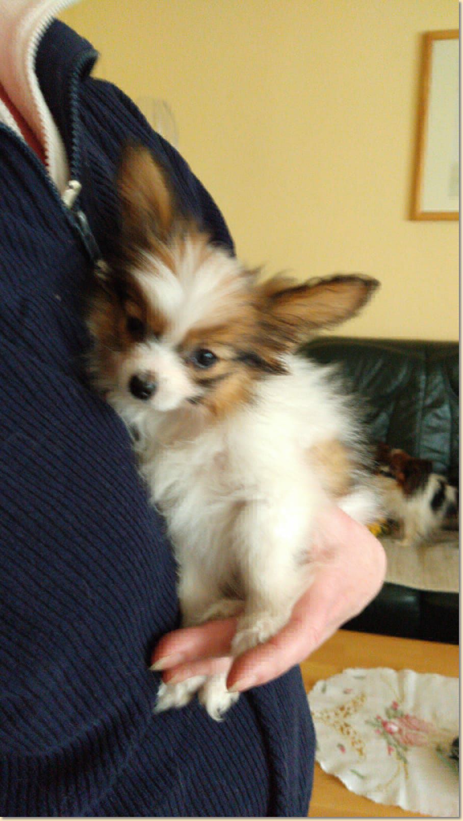 IMG-20201223-WA0008.jpg