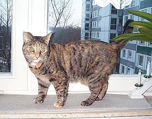 Lisa_Fensterbank2.jpg