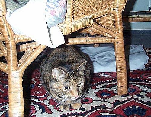 Lisa_Schlafzimmer2.jpg