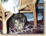 Lisa_Schlafzimmer2.jpg