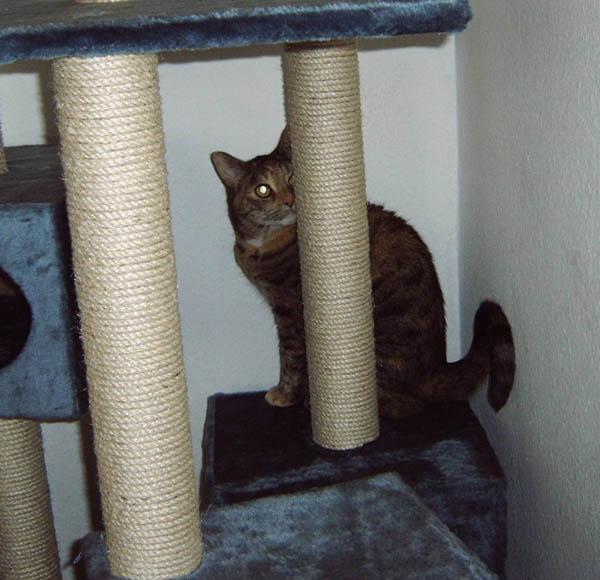 Jan06_006.jpg