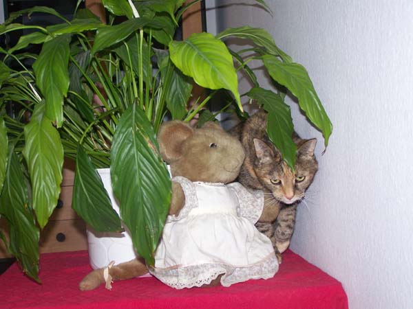 210209_009.jpg