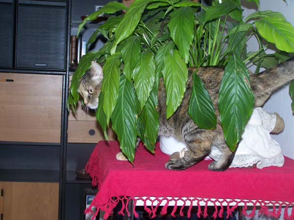 210209_010.jpg