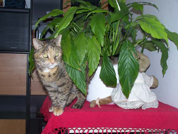 210209_011.jpg