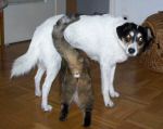 210209_043.jpg