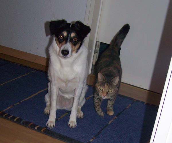 100108_008.jpg