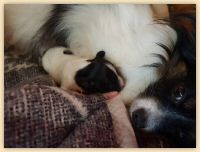 IMG-20180712-WA0003.jpg