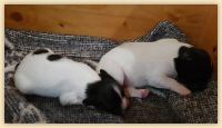 IMG-20180712-WA0004.jpg