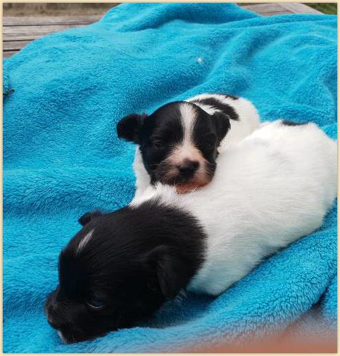 IMG-20180722-WA0002.jpg
