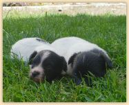 IMG-20180729-WA0002.jpg
