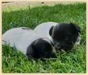 IMG-20180729-WA0003.jpg