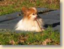 IMG_0830klein.jpg