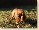 IMG_0836klein.jpg