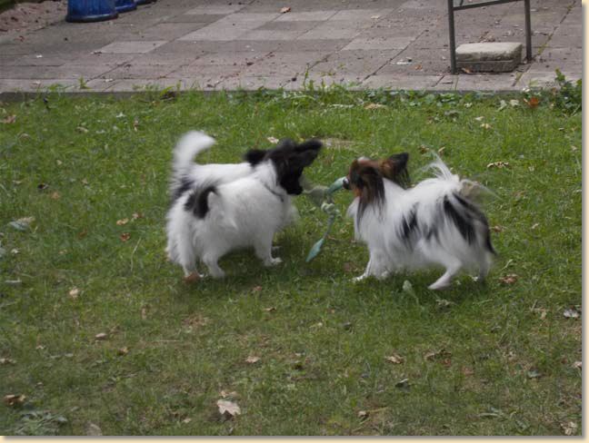 DSCN1382.jpg