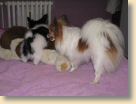 IMG_0620.jpg