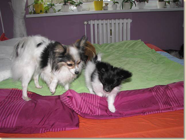 IMG_0621klein.jpg