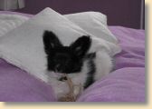 IMG_0645.jpg