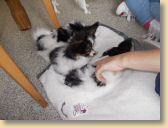 DSCN1245.jpg