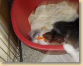 DSCN1253.jpg