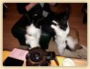 IMG-20190113-WA0012.jpg