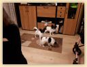 IMG-20190113-WA0013.jpg