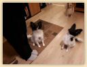 IMG-20190113-WA0015.jpg