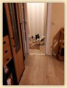 IMG-20190113-WA0019.jpg