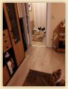 IMG-20190113-WA0022.jpg