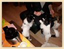 IMG-20190113-WA0027.jpg