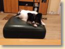 IMG-20201124-WA0003.jpg