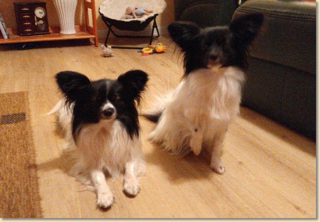 IMG-20201127-WA0011.jpg