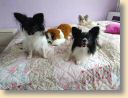 IMG_20201109_125815886.jpg