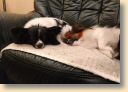 IMG_20201115_191935052.jpg