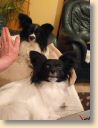 IMG_20201125_225403280.jpg