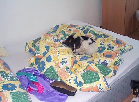 WasiBett2.jpg