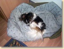 WasiBonnieBett.jpg