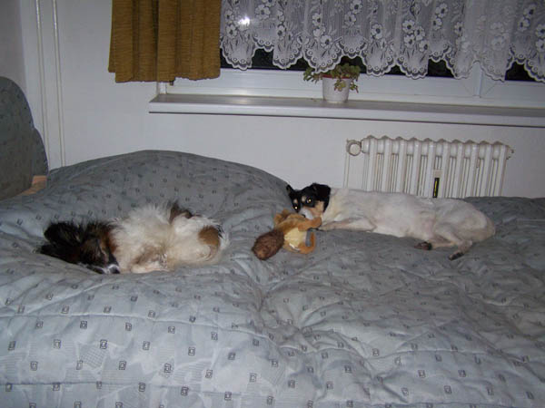 180108_003.jpg