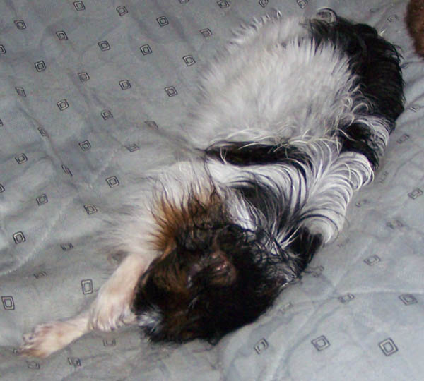 310108_001.jpg