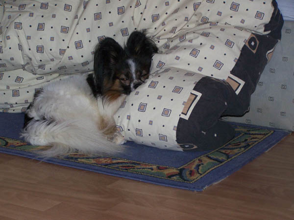 310108_013.jpg