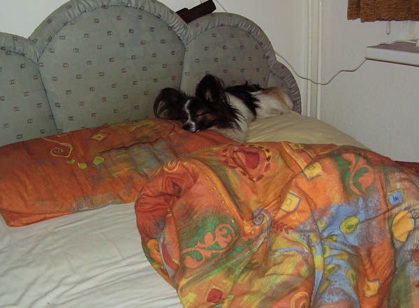 2612_003.jpg